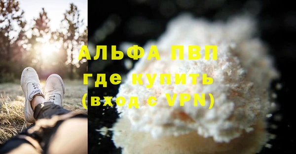 шишки Алзамай