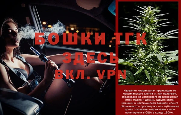 гидра Алексин