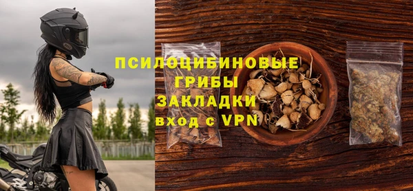 гидра Алексин