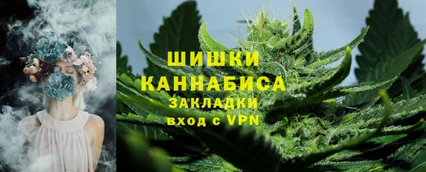 шишки Алзамай