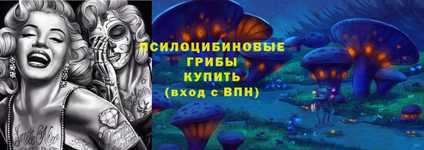 гидра Алексин