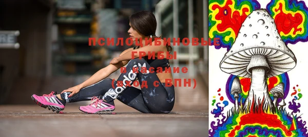 стаф Рославль