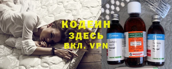 шишки Алзамай