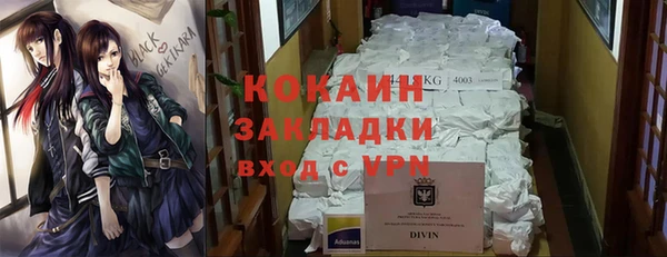 шишки Алзамай